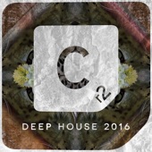 Deep House 2016 artwork