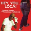 Hey, You, Loca!, 2006