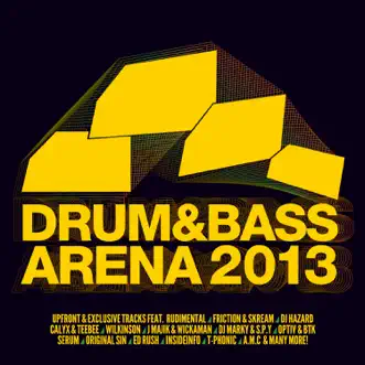 Drum & Bass Arena 2013 by Various Artists album reviews, ratings, credits