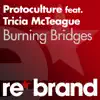 Burning Bridges (feat. Tricia McTeague) song lyrics