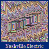 Nashville Electric - Another Day in Paradise (feat. Tracy Silverman, Ryan Norris, Dylan Simon, Thollem McDonas & Ed Pettersen)