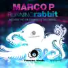 Running Rabbit Remixes album lyrics, reviews, download