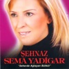 Seherde Ağlayan Bülbül