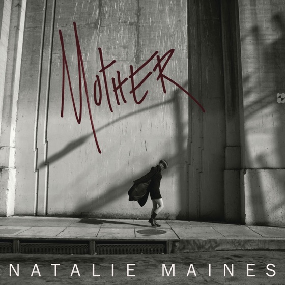Cover artwork for Vein In Vain