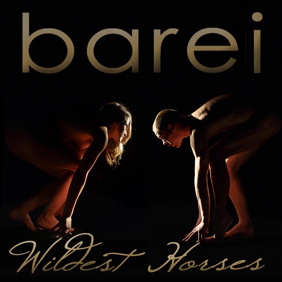 Cover artwork for Wildest Horses