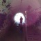 Bloodlines (feat. Nate Brown) - Ben Pearce lyrics