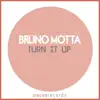 Turn It Up (feat. Shun Ward) - EP album lyrics, reviews, download