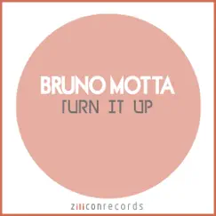 Turn It Up (feat. Shun Ward) Song Lyrics