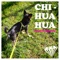 Chi Hua Hua (feat. 이기린) - RAINBOW DIAMOND lyrics