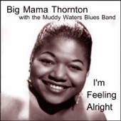 Big Mama Thornton - Since I Fell for You