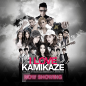 I Love Kamikaze Now Showing - Various Artists