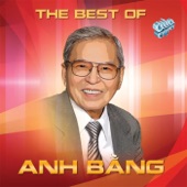 The Best Of Anh Bang artwork