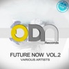 Future Now, Vol. 2