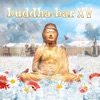Buddha-Bar XV, 2013