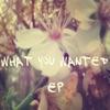 What You Wanted - Single