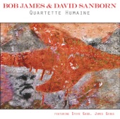 Bob James and David Sanborn - Geste Humain