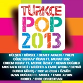 Türkçe Pop 2013 artwork