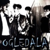 Ogledala