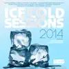 Ice Cold Sessions 2014 (Mixed By Luca Guerrieri aka Josh Feedblack) album lyrics, reviews, download