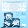 Ice Cold Sessions 2014 (Mixed By Luca Guerrieri aka Josh Feedblack)