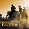 Country Western Best Tunes, 2013