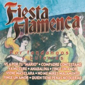 Fiesta Flamenca por Fandangos y Bulerías artwork