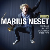 Birds (feat. Ivo Neame, Jasper Høiby, Jim Hart & Anton Eger) artwork