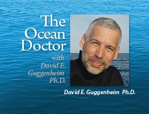 The Ocean Doctor – GEORGE JETSON, MEET MOTHER NATURE – THE LATEST IN GREEN TECH AT CES 2012 LAS VEGAS