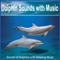 Healing Piano With the Sounds of Dolphins - Steven Snow lyrics