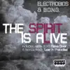 The Spirit Is Alive - Single album lyrics, reviews, download