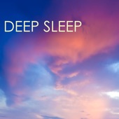 Deep Sleep - Relaxing Music Therapy, Slow Long Sleeping Songs for Healing, Massage, Yoga and Quietness, Sounds to Help You Relax Better at Night, New Age Meditation Lullabies for Wellness and Spirituality artwork