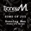 Song of Joy (Radio Edit) [feat. Liz Mitchell] song lyrics