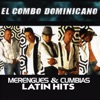Merengues & Cumbias Latin Hits, 2010