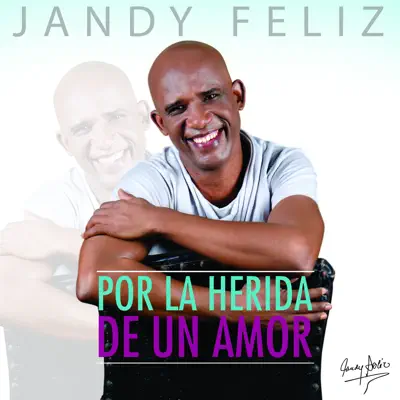 Por la herida de un amor - Single - Jandy Feliz