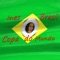 Copa do Mundo - Ines Brasil lyrics