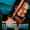 Discover - Electric Blues, 2013