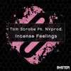 Intense Feelings (feat. NVprod.) song lyrics