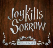 Joy Kills Sorrow - Working For The Devil