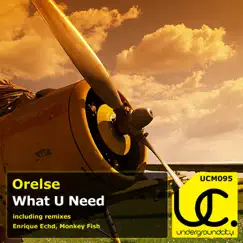 What U Need - Single by Orelse album reviews, ratings, credits
