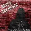 Never Say Never - Single album lyrics, reviews, download