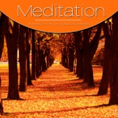 Meditation, Vol. Orange, Vol. 3 - EP artwork