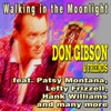 Walking in the Moonlight - Don Gibson & Friends
