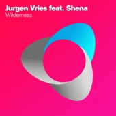 Wilderness (feat. Shena) [Instrumental Mix] artwork