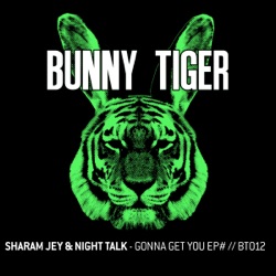 Sharam Jey - Gonna Get You
