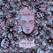 La Galaxia Flota - Chop Suey lyrics