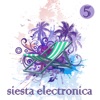 Siesta Electronica, Vol. 5