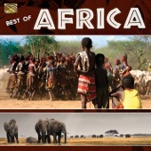Best of Africa artwork