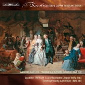 Bach: Cantatas artwork