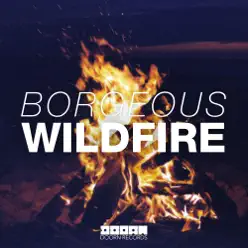 Wildfire - Single - Borgeous Wildfire - Single - Borgeous