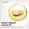 Following (Frankov's Broken Record Mix) - Ricky Ebner lyrics